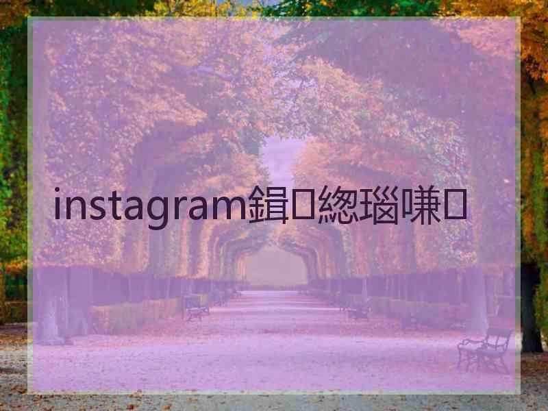 instagram鍓緫瑙嗛