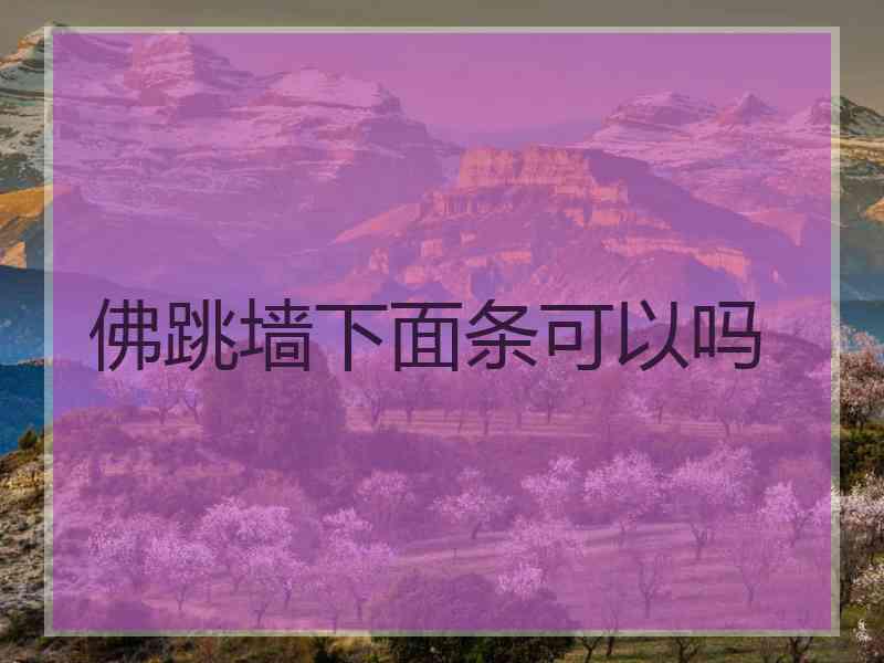 佛跳墙下面条可以吗