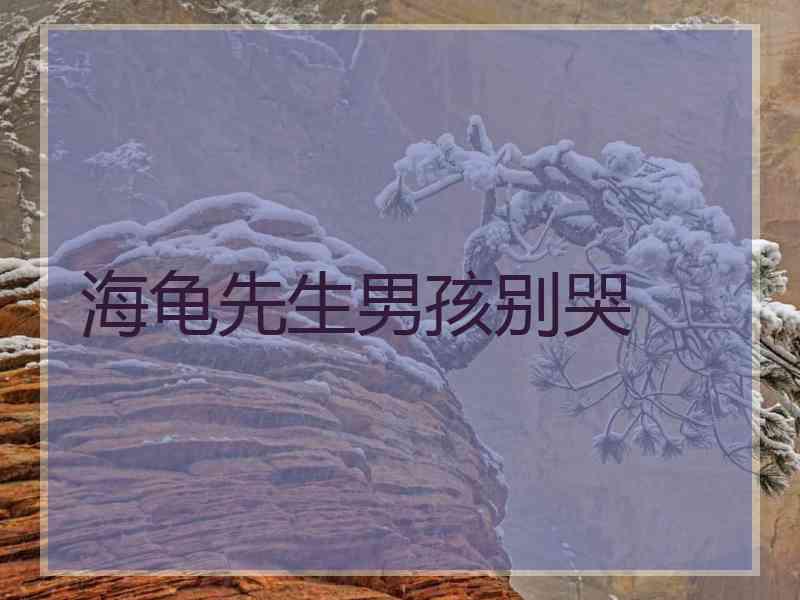 海龟先生男孩别哭