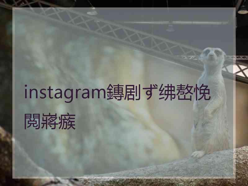 instagram鏄剧ず绋嶅悗閲嶈瘯