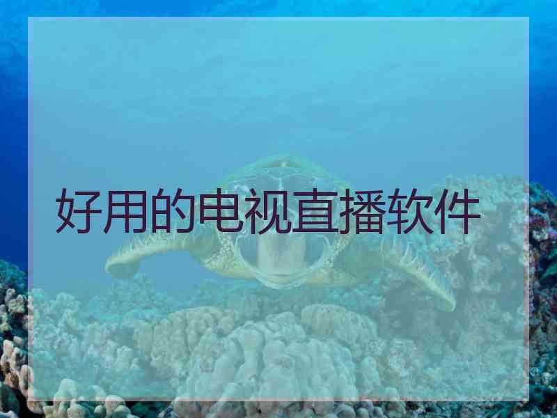 好用的电视直播软件
