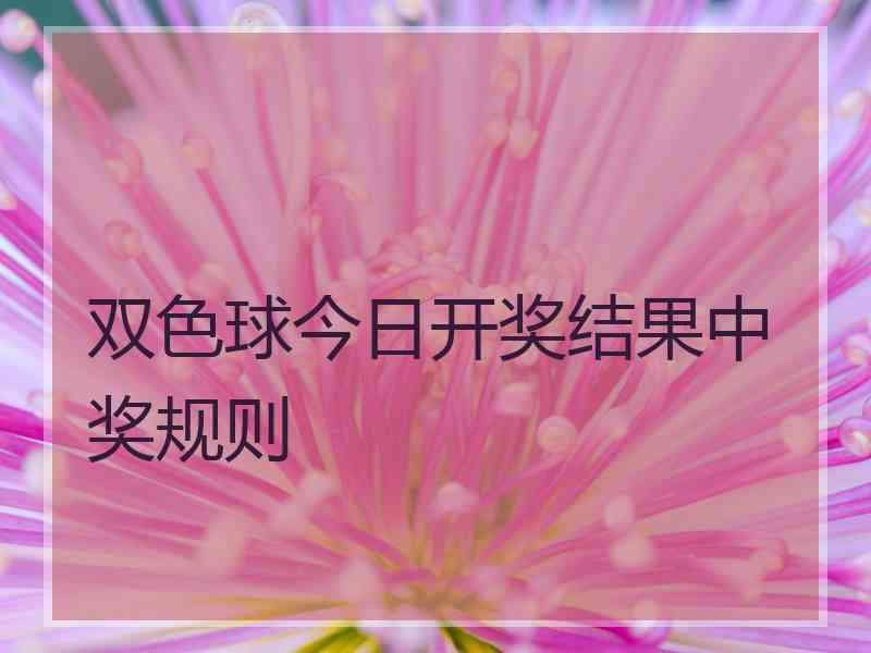 双色球今日开奖结果中奖规则
