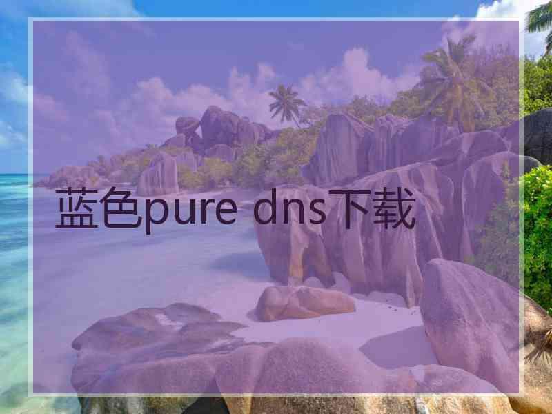 蓝色pure dns下载