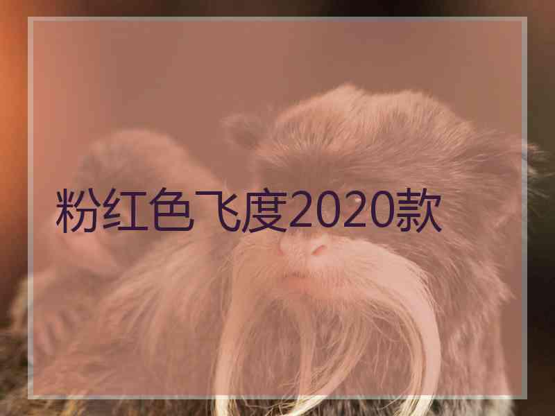 粉红色飞度2020款