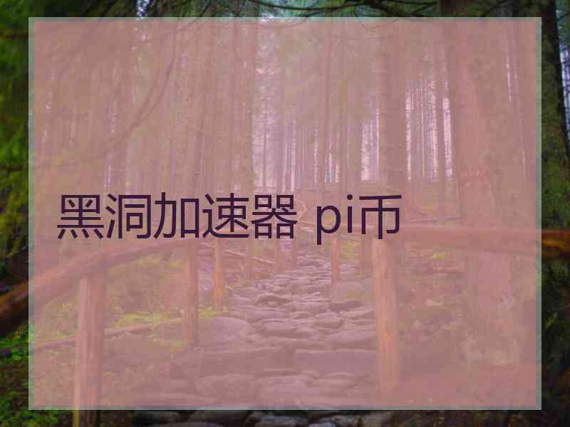 黑洞加速器 pi币