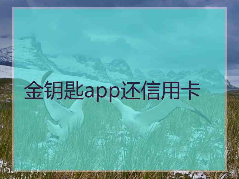 金钥匙app还信用卡