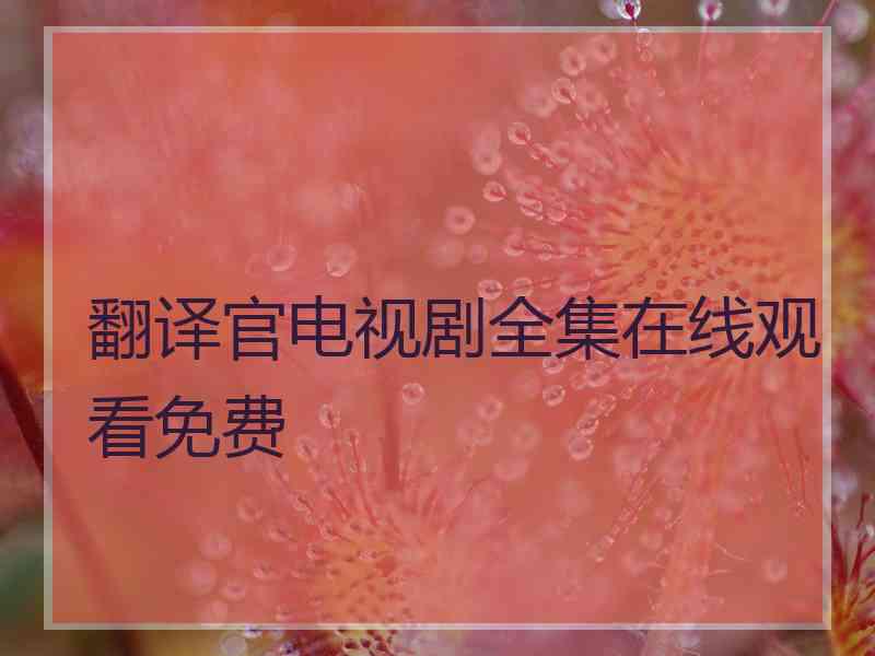 翻译官电视剧全集在线观看免费