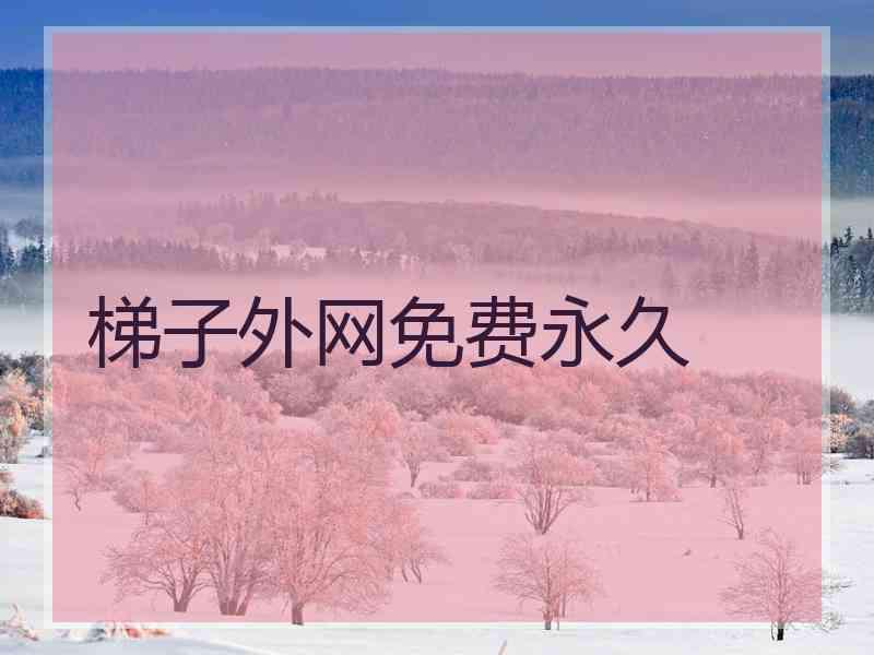 梯子外网免费永久
