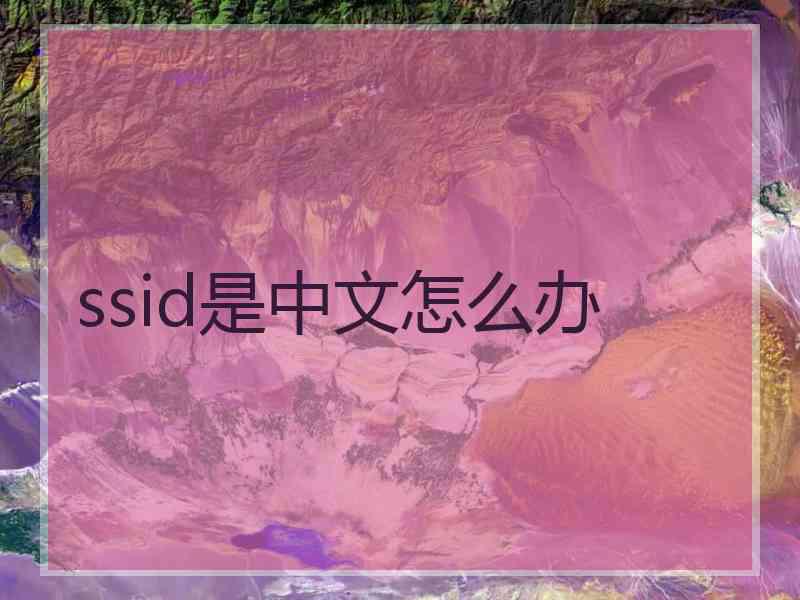 ssid是中文怎么办