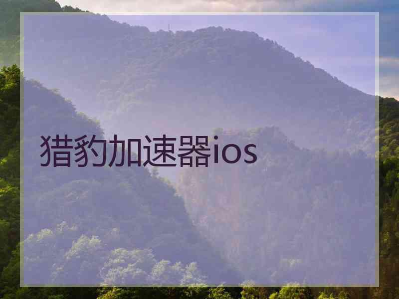 猎豹加速器ios