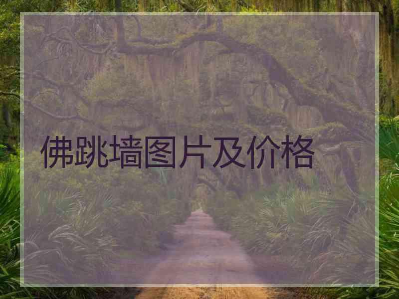 佛跳墙图片及价格