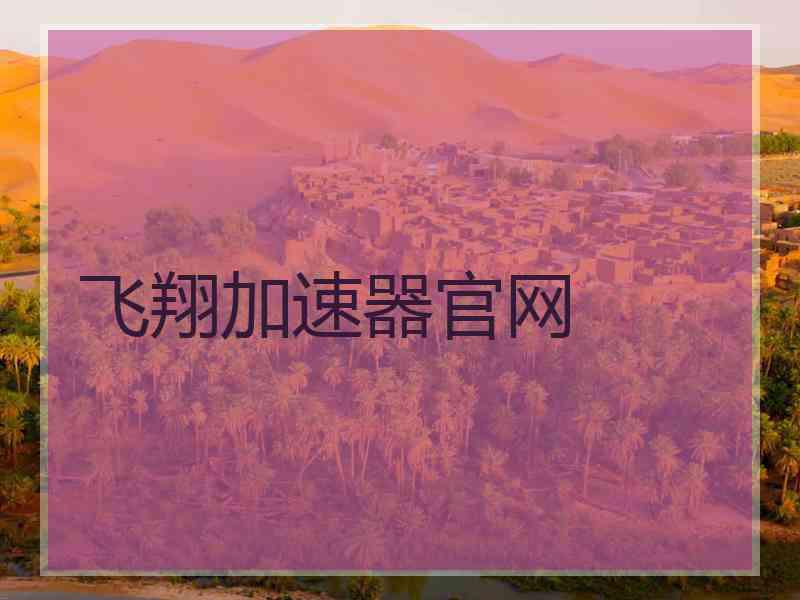 飞翔加速器官网