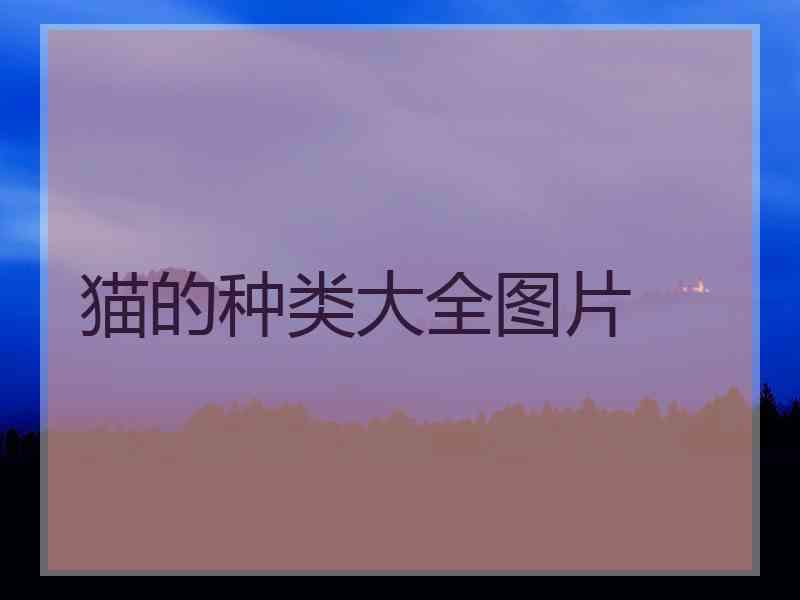 猫的种类大全图片