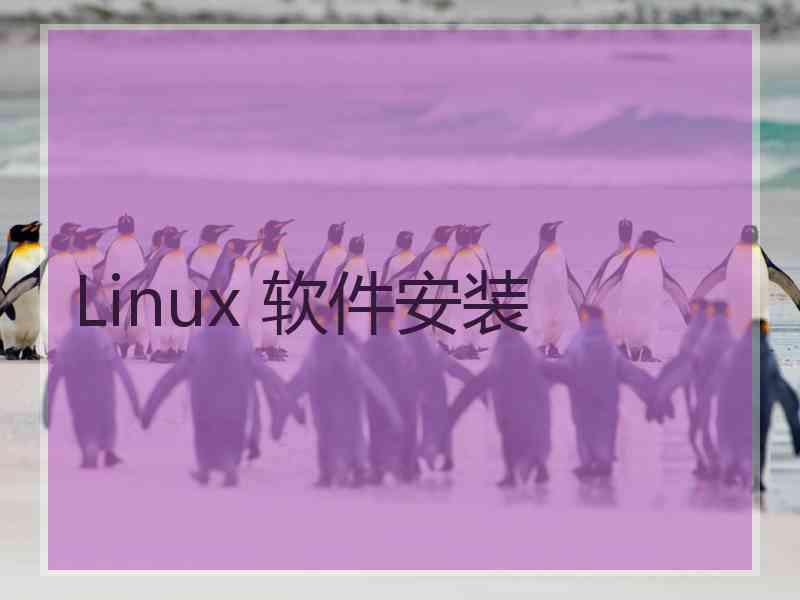 Linux 软件安装