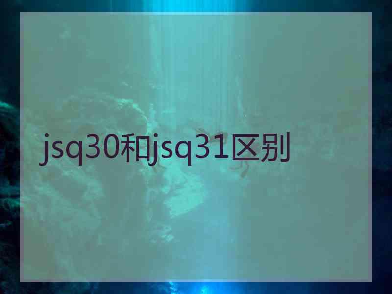 jsq30和jsq31区别