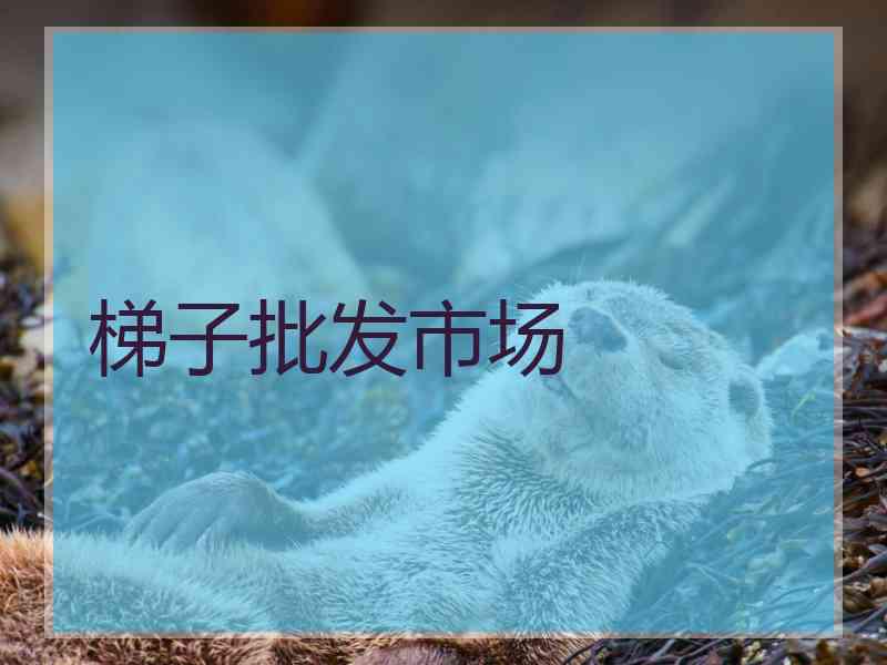 梯子批发市场