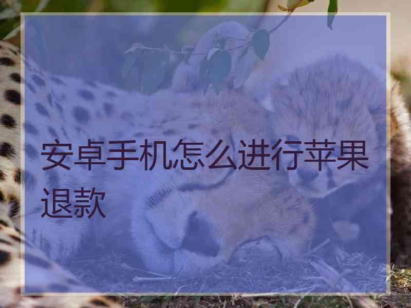 安卓手机怎么进行苹果退款