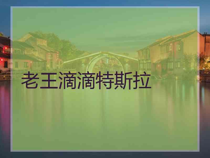 老王滴滴特斯拉
