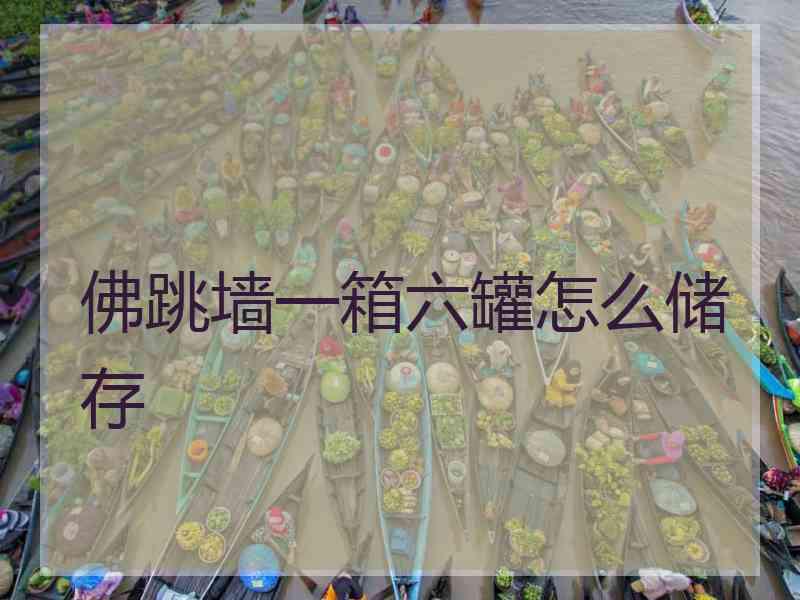 佛跳墙一箱六罐怎么储存