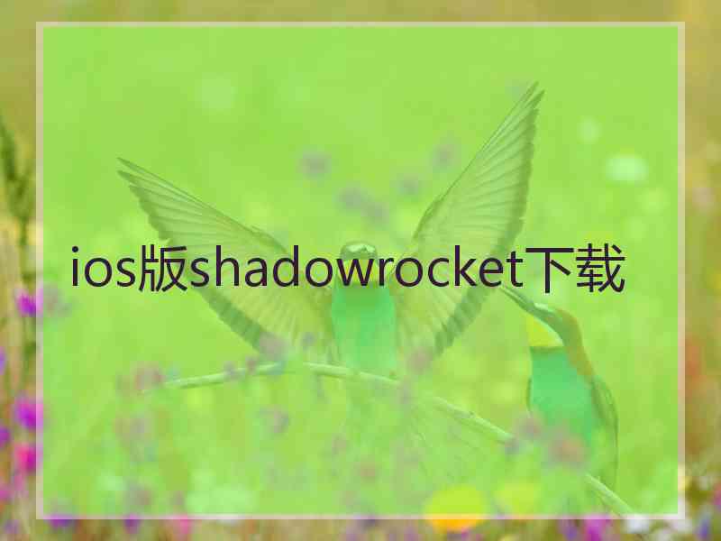 ios版shadowrocket下载