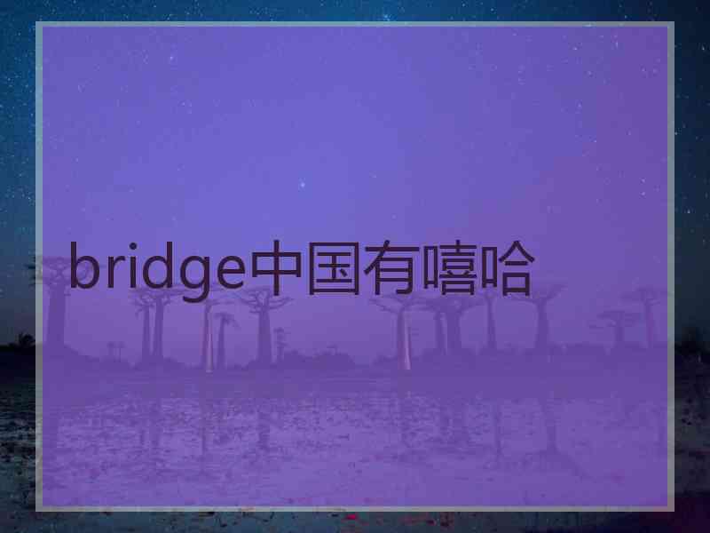 bridge中国有嘻哈