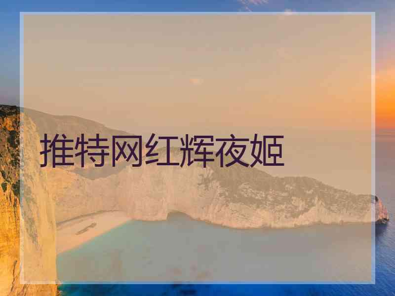 推特网红辉夜姬