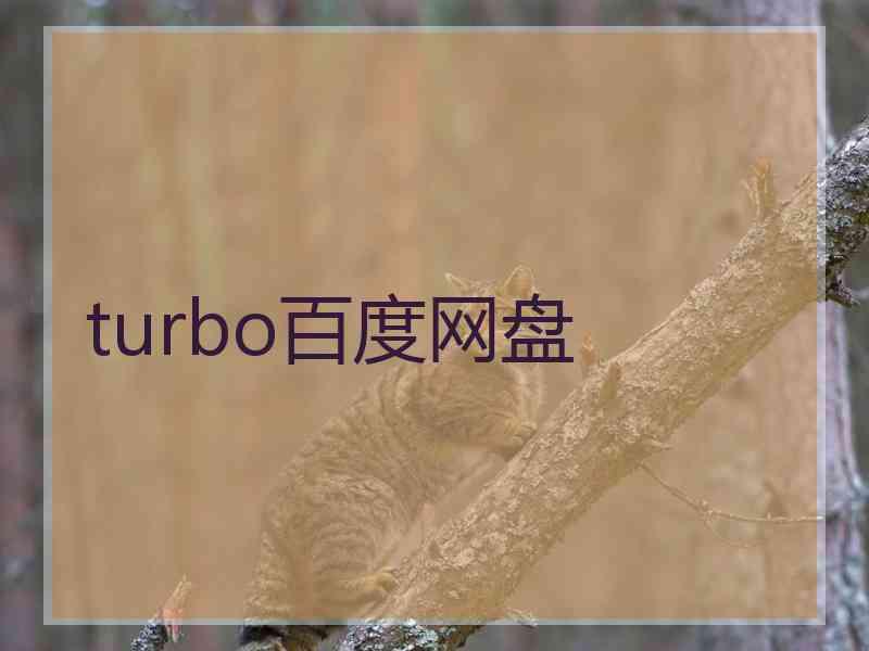 turbo百度网盘