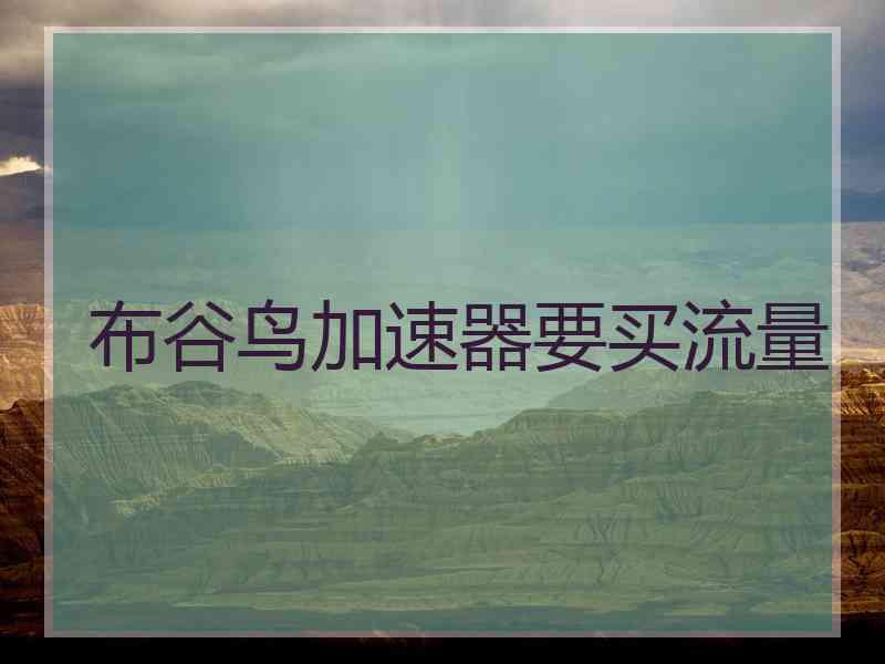 布谷鸟加速器要买流量