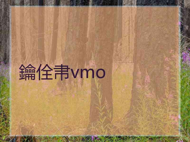 鑰佺帇vmo