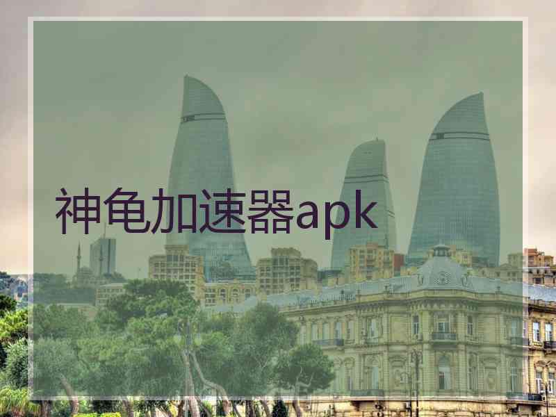 神龟加速器apk