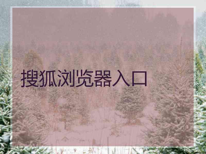 搜狐浏览器入口