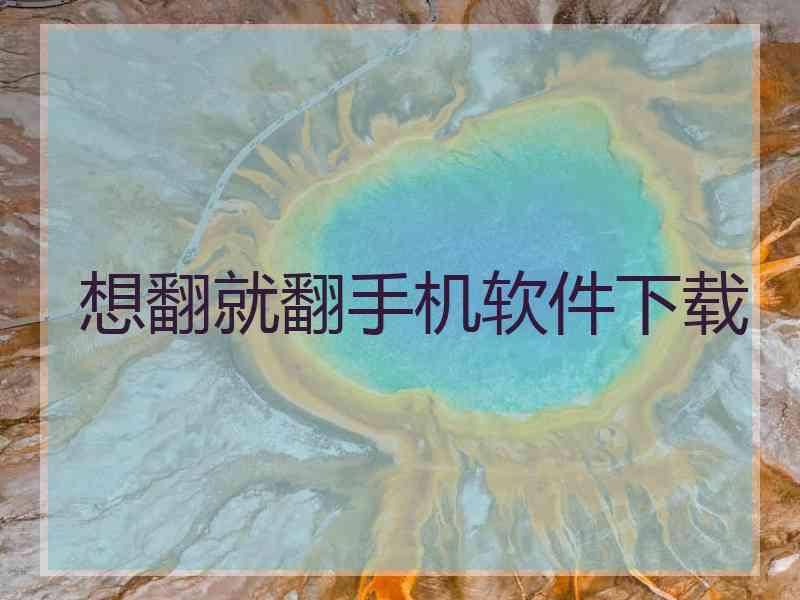 想翻就翻手机软件下载