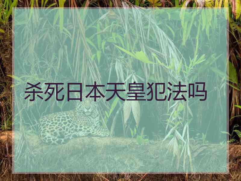 杀死日本天皇犯法吗