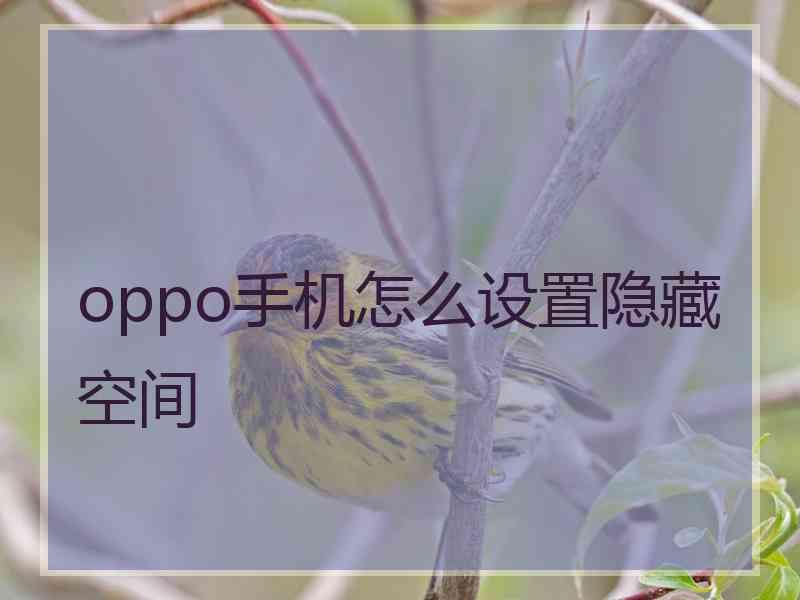 oppo手机怎么设置隐藏空间