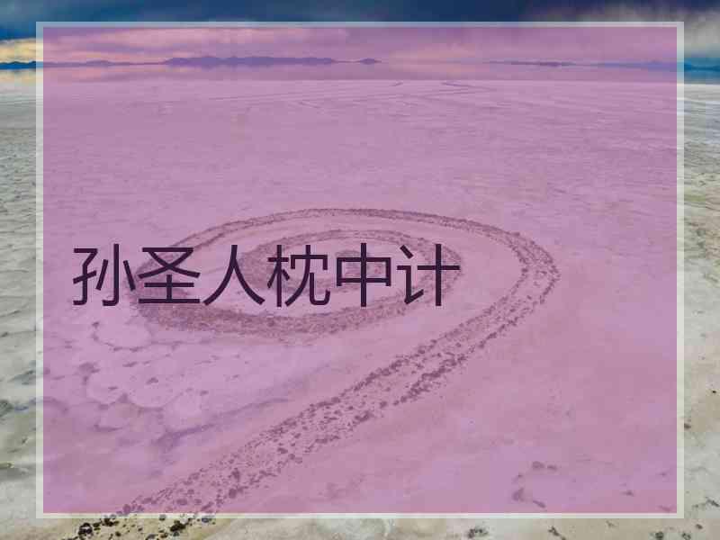 孙圣人枕中计