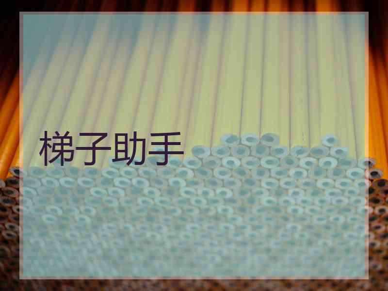 梯子助手