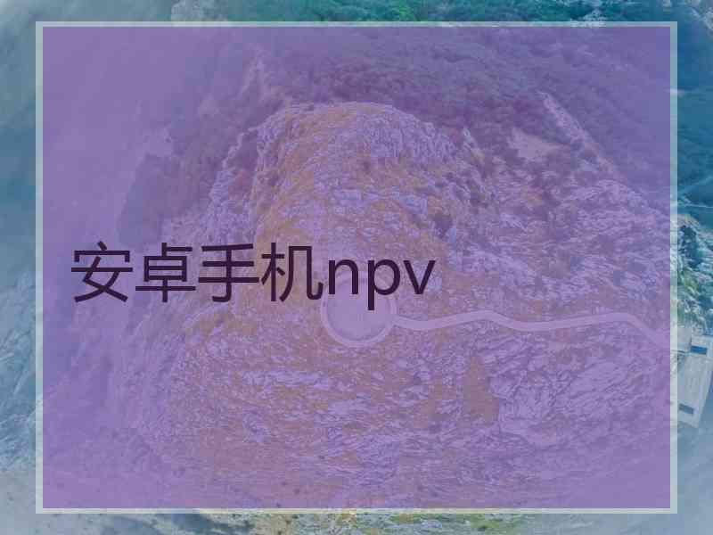 安卓手机npv