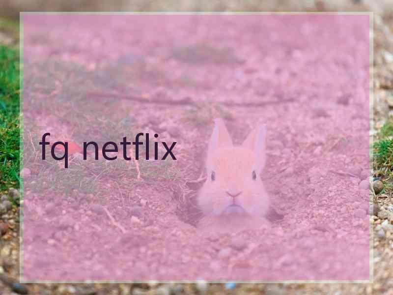 fq netflix