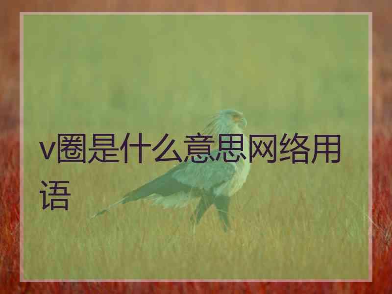 v圈是什么意思网络用语