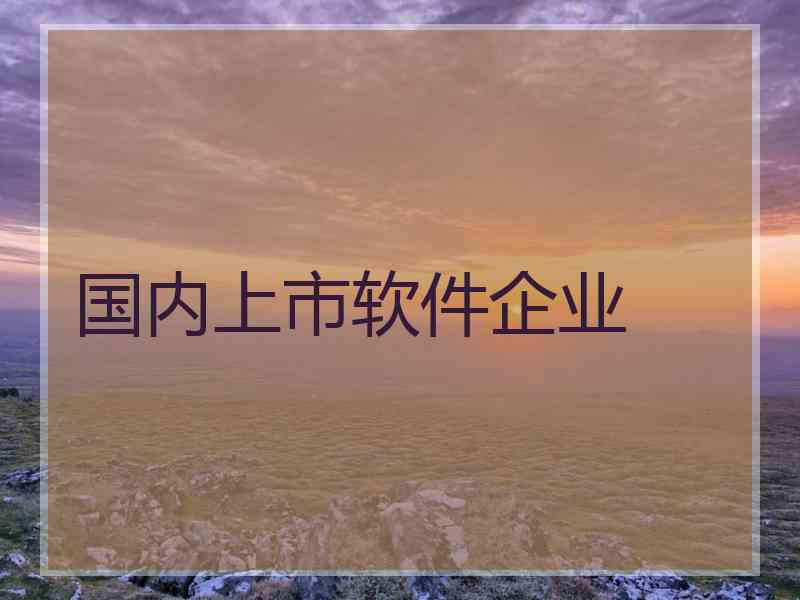 国内上市软件企业