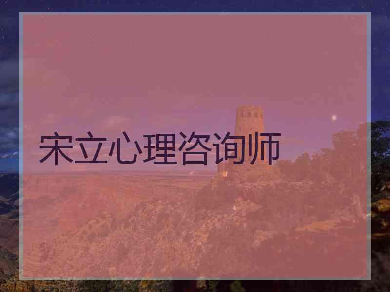 宋立心理咨询师