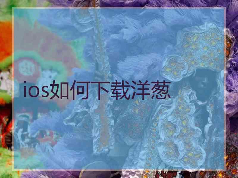 ios如何下载洋葱