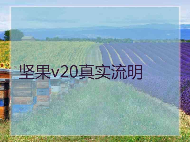 坚果v20真实流明