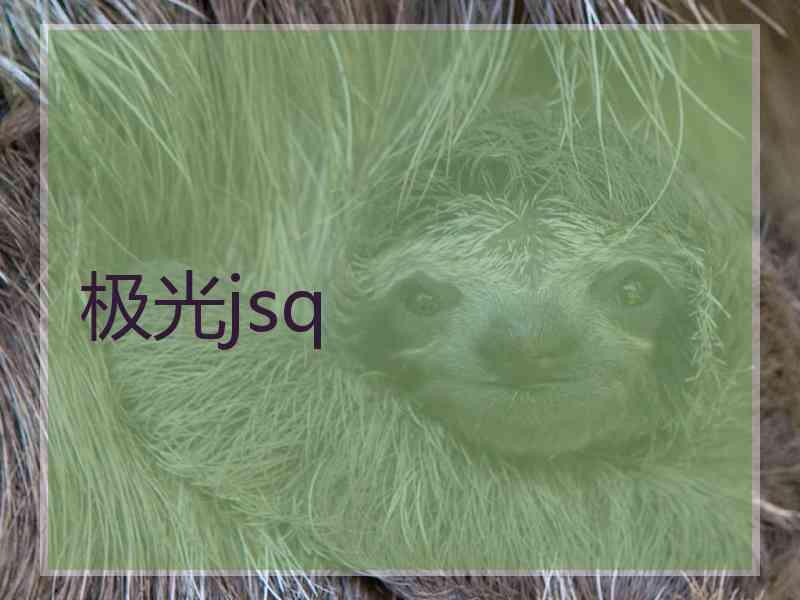 极光jsq