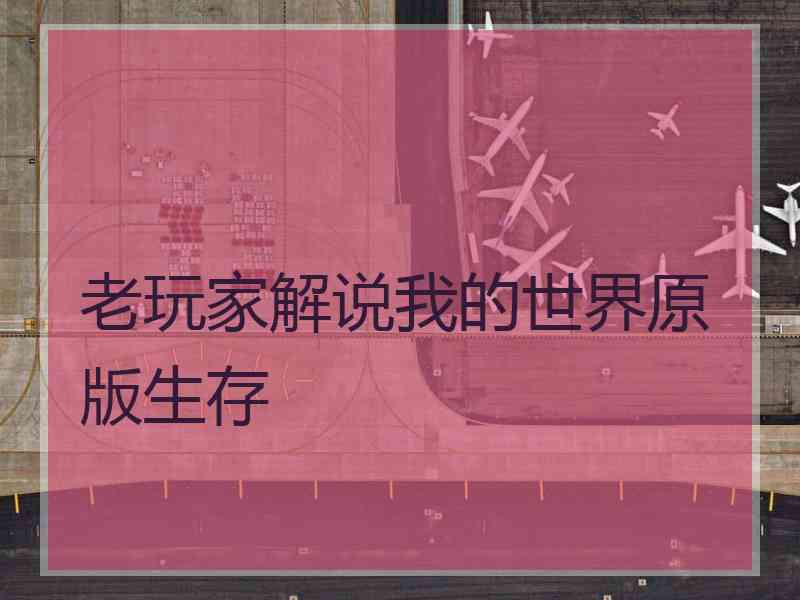 老玩家解说我的世界原版生存
