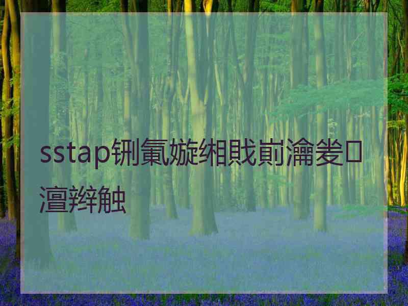 sstap铏氭嫙缃戝崱瀹夎澶辫触