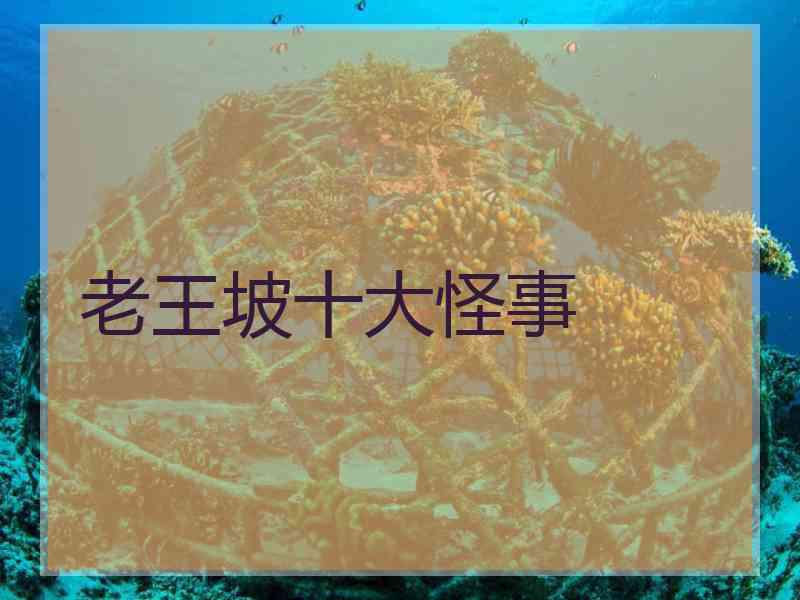 老王坡十大怪事