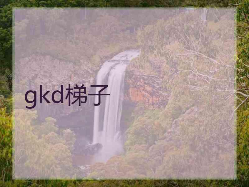 gkd梯子