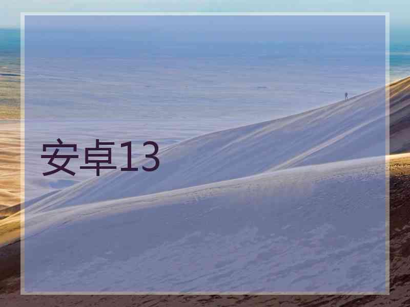 安卓13