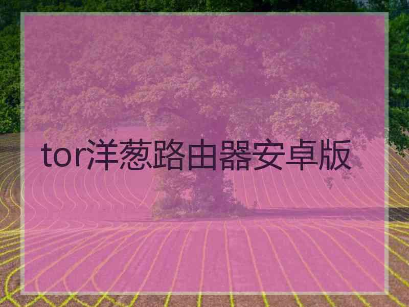 tor洋葱路由器安卓版
